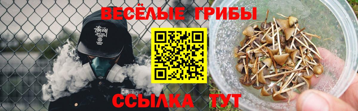 Псилоцибиновые грибы мухоморы Бугуруслан
